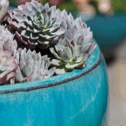 Set Of Three Ellesmere Planters 6 Set Of Three Ellesmere Planters -Famous Furniture Store 13803 ellesmere 4