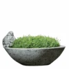 Aurielle Planter