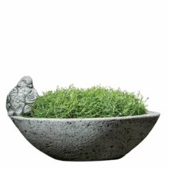 Aurielle Planter