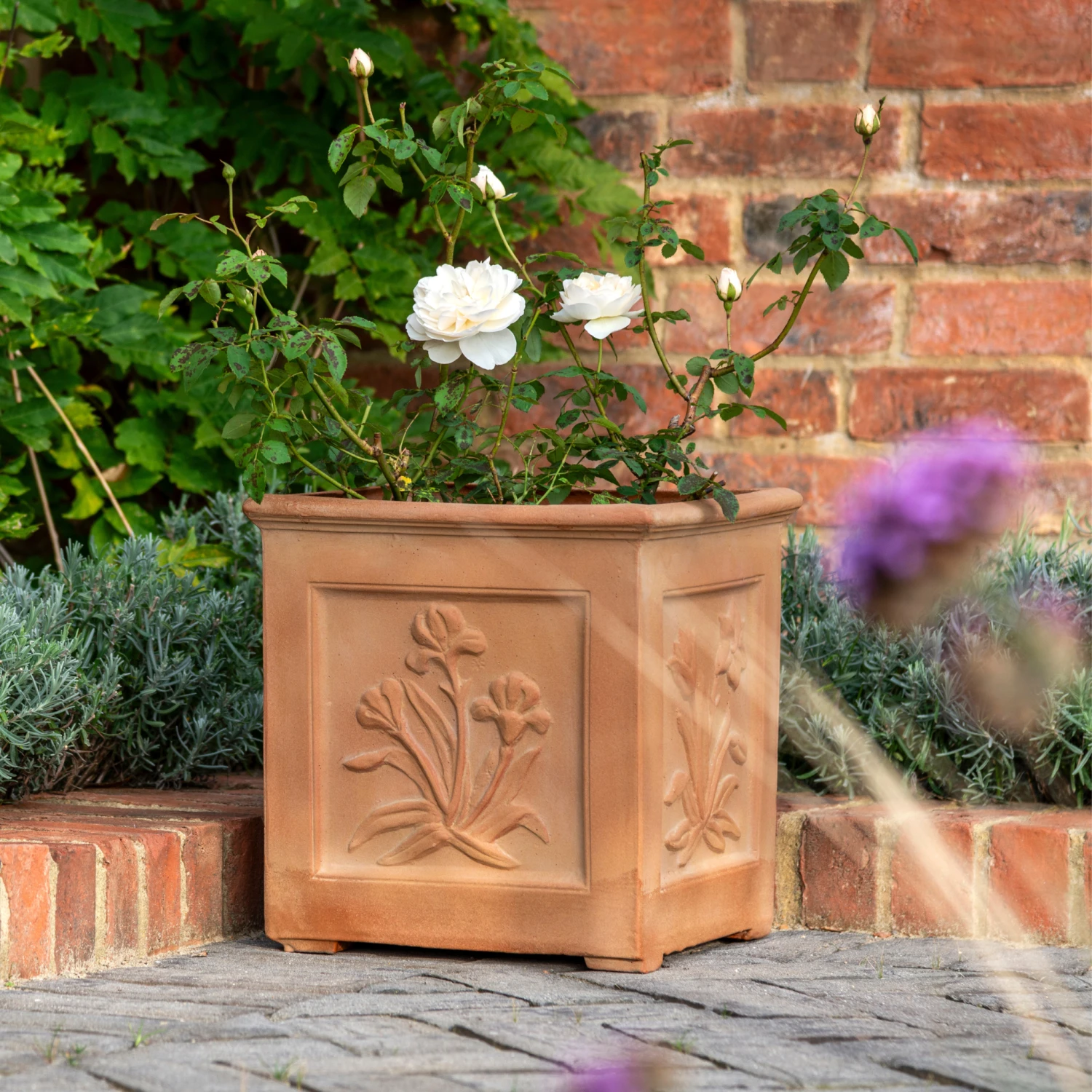 Botanical Garden Planter 2 Botanical Garden Planter - Image 2