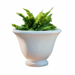 Catherine Urn Planter
