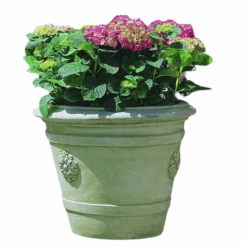 Certosa Medallion Planter