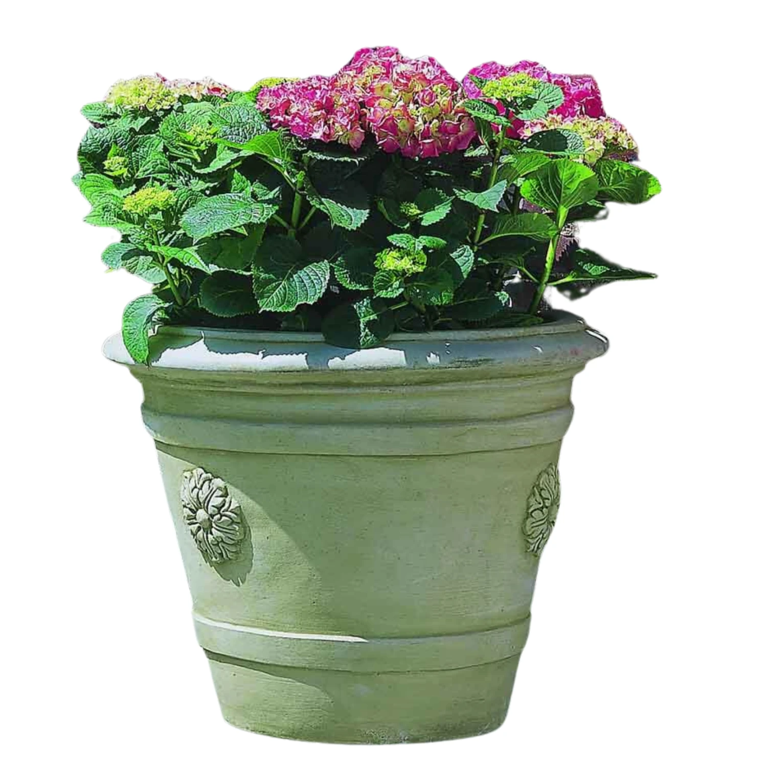 Certosa Medallion Planter 1 Certosa Medallion Planter