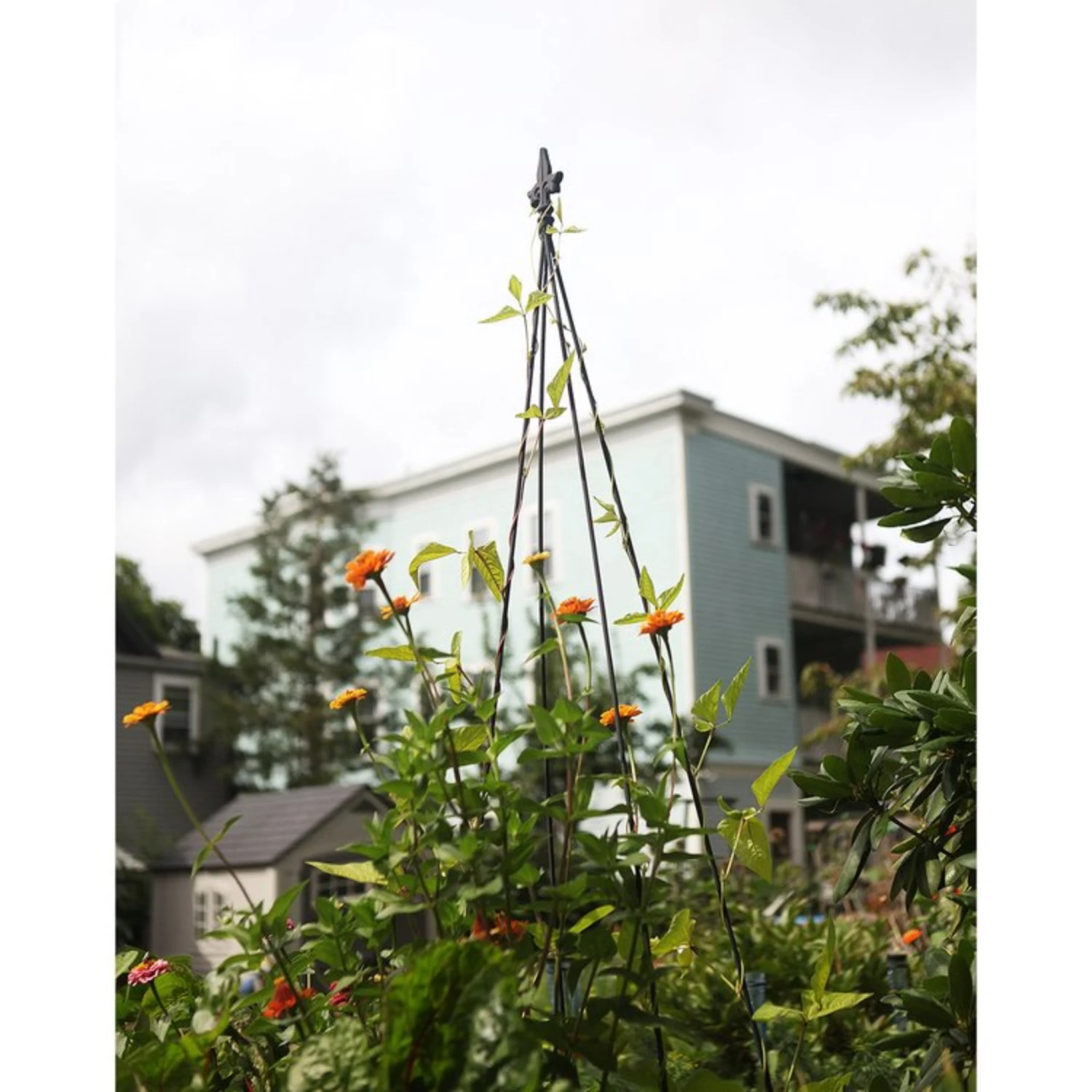Fleur-De-Lis Garden Trellises 7 Fleur-De-Lis Garden Trellises - Image 7