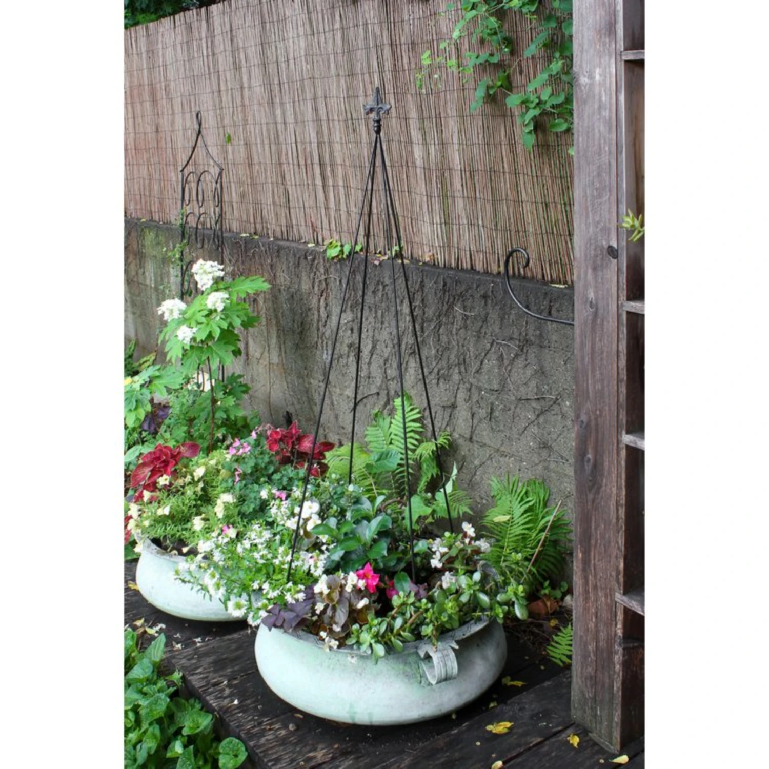 Fleur-De-Lis Garden Trellises 2 Fleur-De-Lis Garden Trellises - Image 2