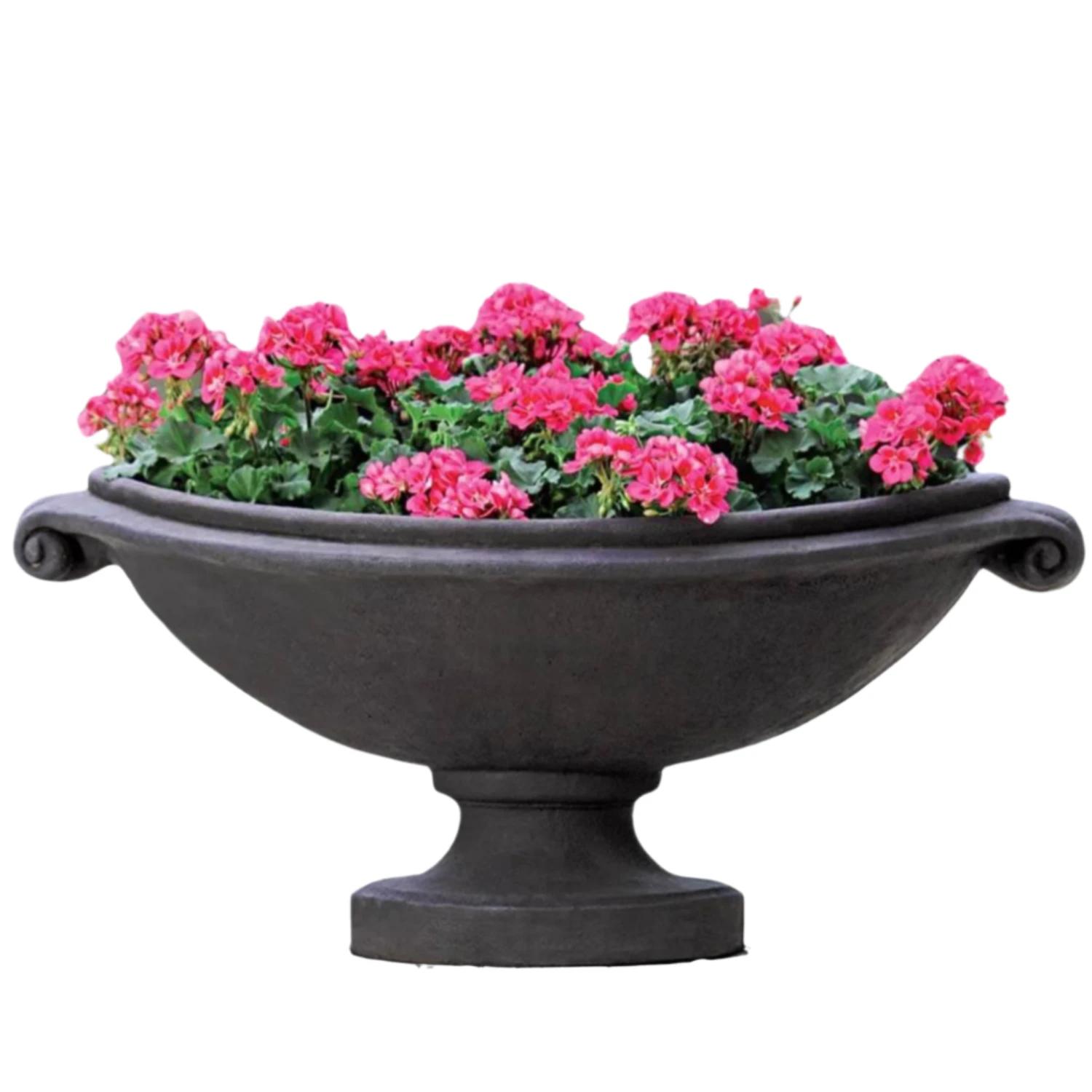 Large Medici Planter 1 Large Medici Planter