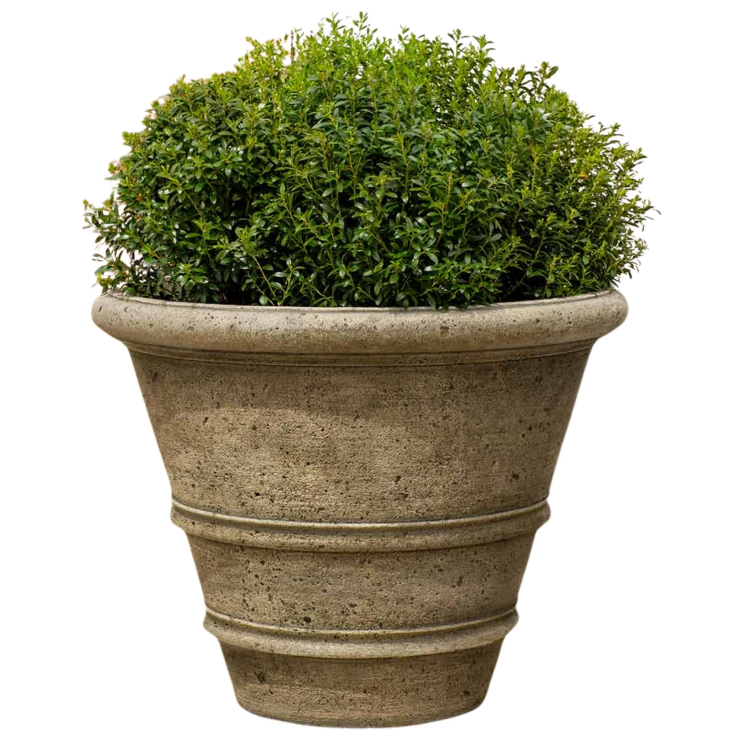 Large Textured Rolled Rim Planter 1 Large Textured Rolled Rim Planter