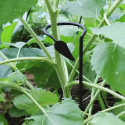 Set Of Six Plant Stakes 4 Set Of Six Plant Stakes -Famous Furniture Store SFT 04 6 1 2