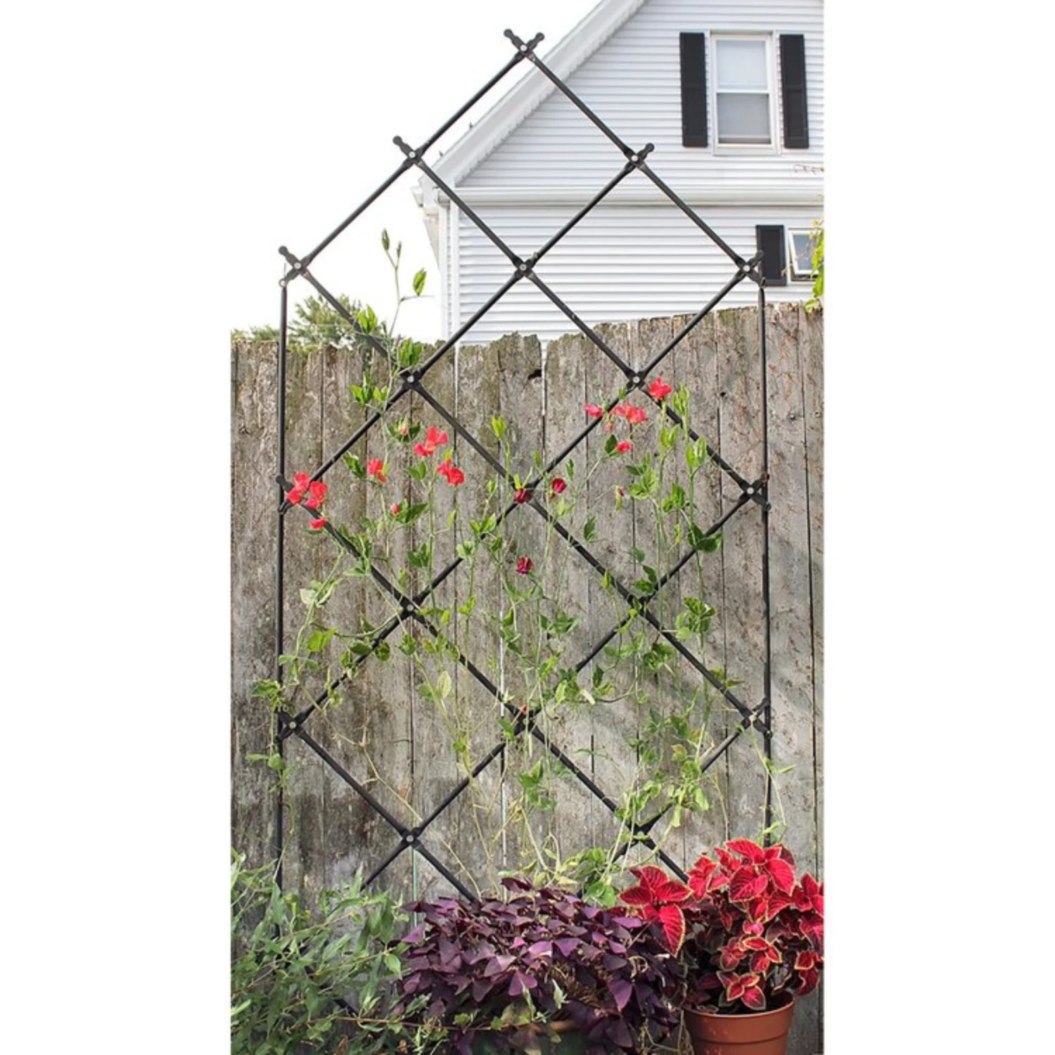 Free-standing Lattice Garden Trellis 3 Free-standing Lattice Garden Trellis - Image 3