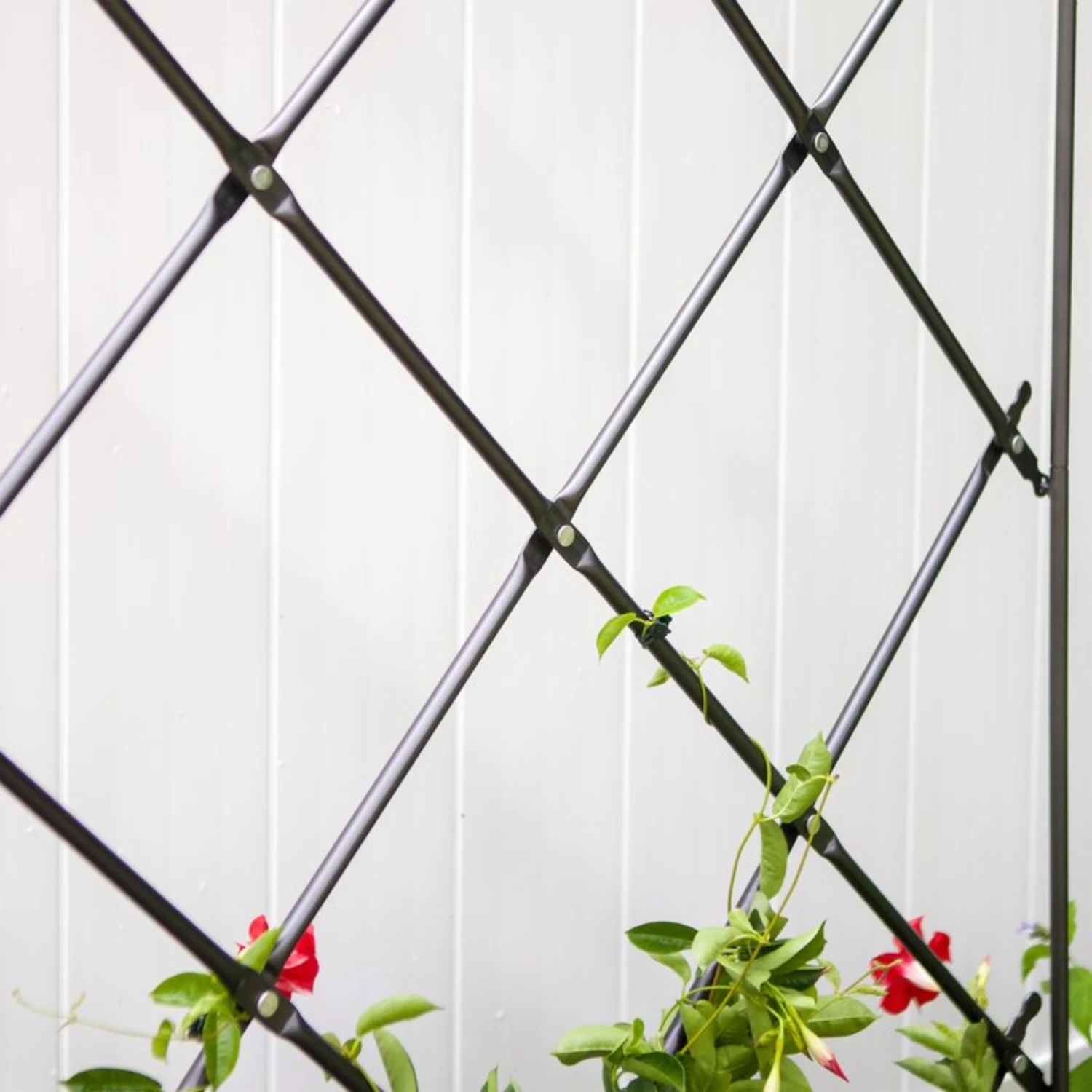 Free-standing Lattice Garden Trellis 4 Free-standing Lattice Garden Trellis - Image 4