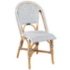 Blue & White Woven Resin Finish Dining Chair