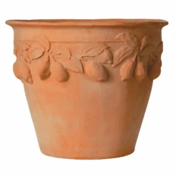 Citrus Lemon Design Garden Pot In Terracotta Finish
