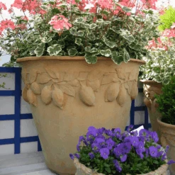 Citrus Lemon Design Garden Pot In Terracotta Finish 9 Citrus Lemon Design Garden Pot In Terracotta Finish -Famous Furniture Store citrus lemon design garden pot in terracotta finish outdoor planters the well appointed house 3