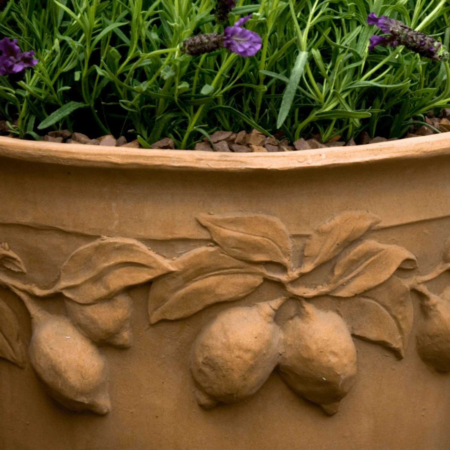 Citrus Lemon Design Garden Pot In Terracotta Finish 5 Citrus Lemon Design Garden Pot In Terracotta Finish - Image 5