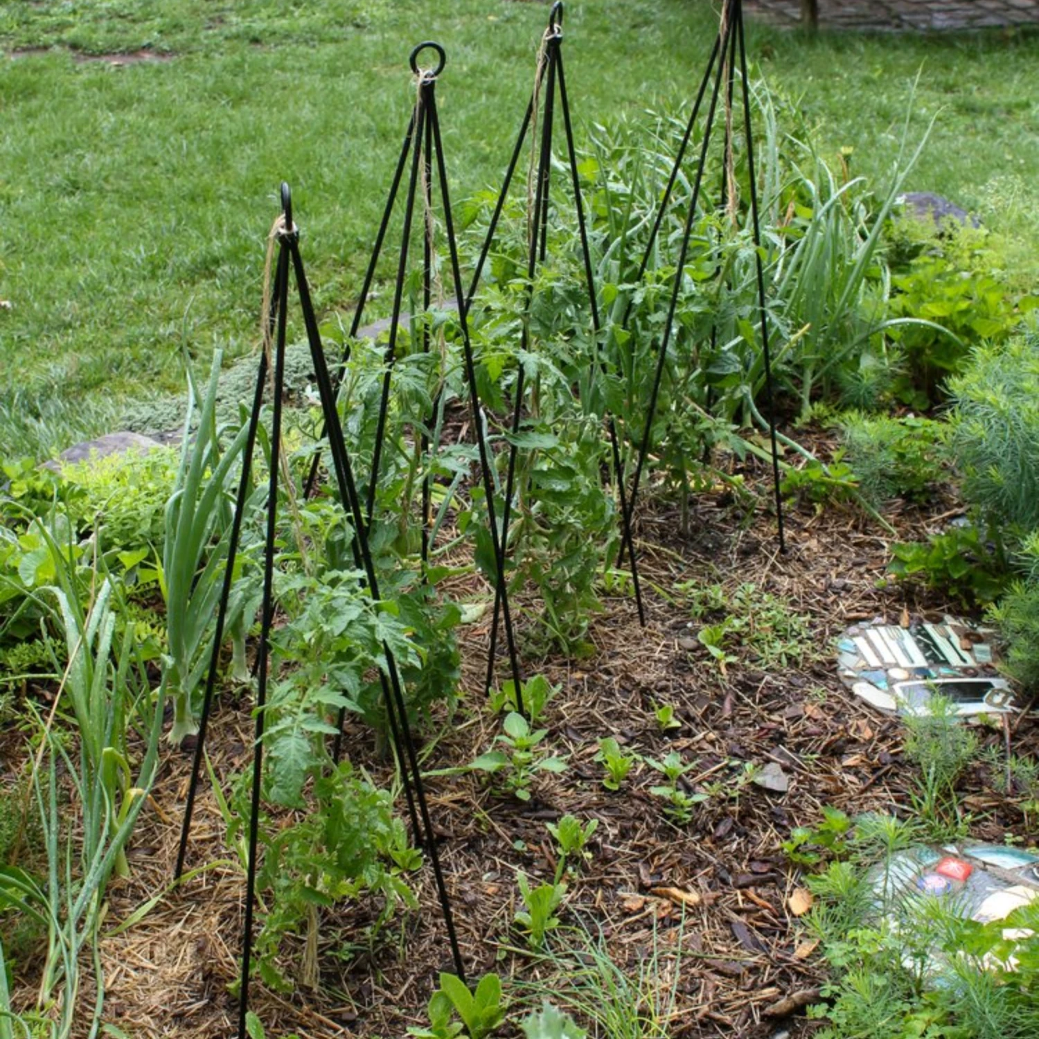 Set Of Two Container Garden Trellises 4 Set Of Two Container Garden Trellises - Image 4