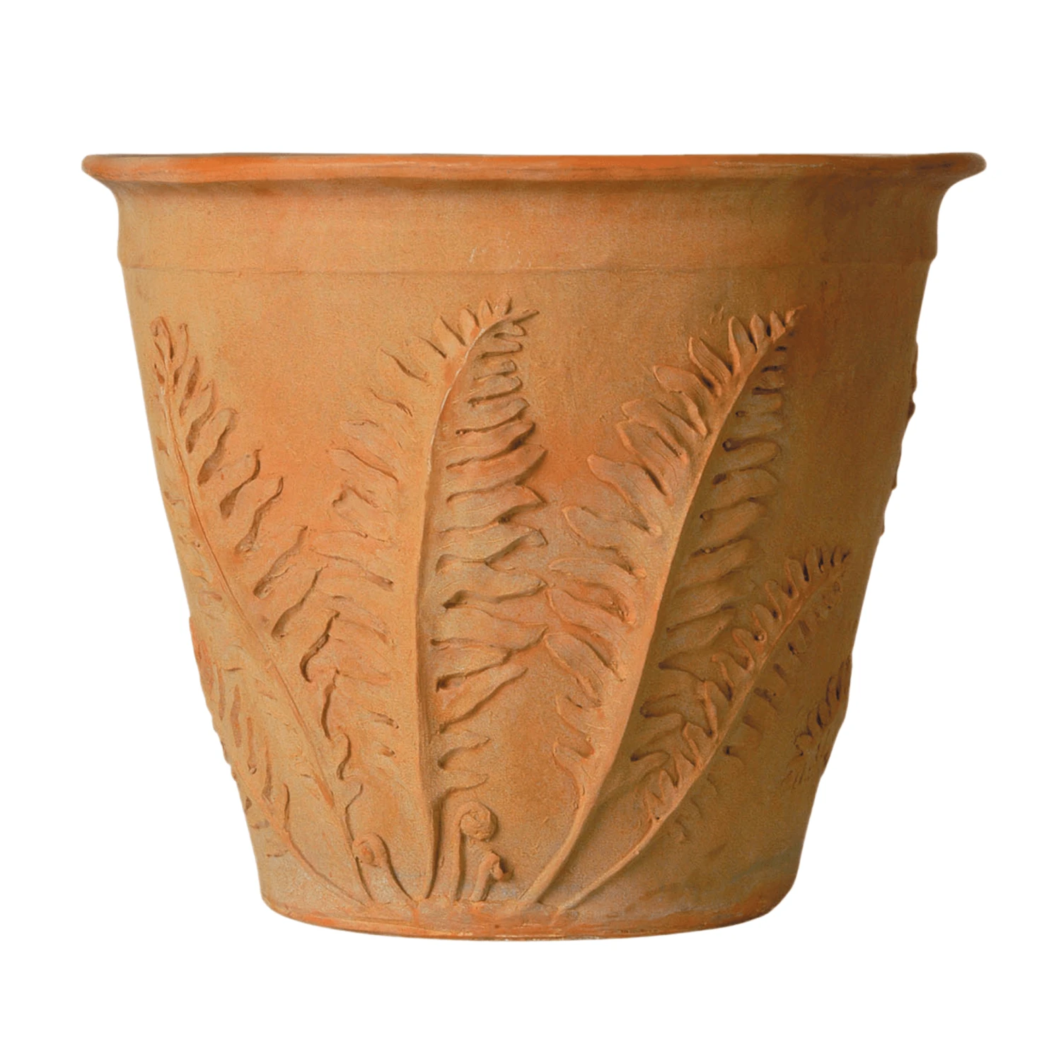 Fern Garden Pot In A Terracotta Finish 1 Fern Garden Pot In A Terracotta Finish