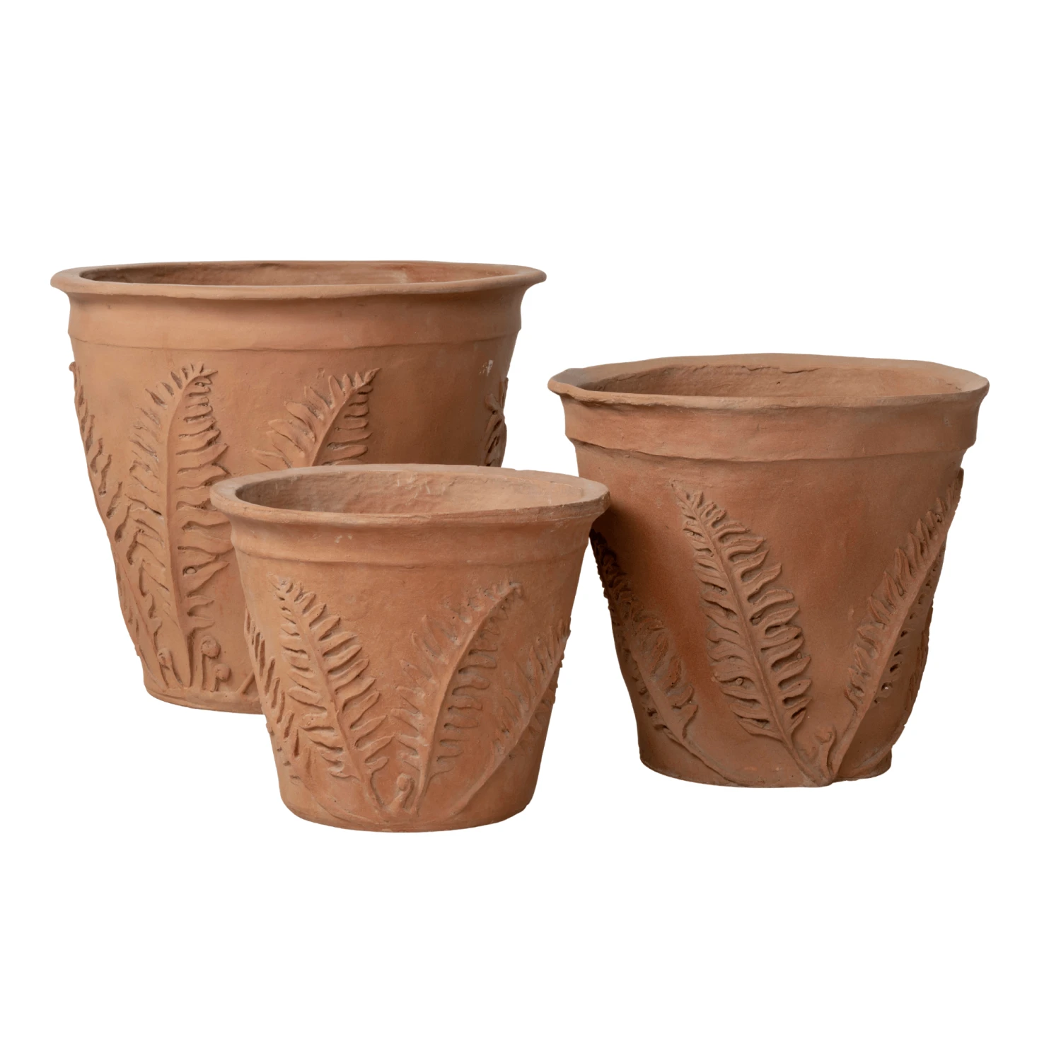 Fern Garden Pot In A Terracotta Finish 3 Fern Garden Pot In A Terracotta Finish - Image 3