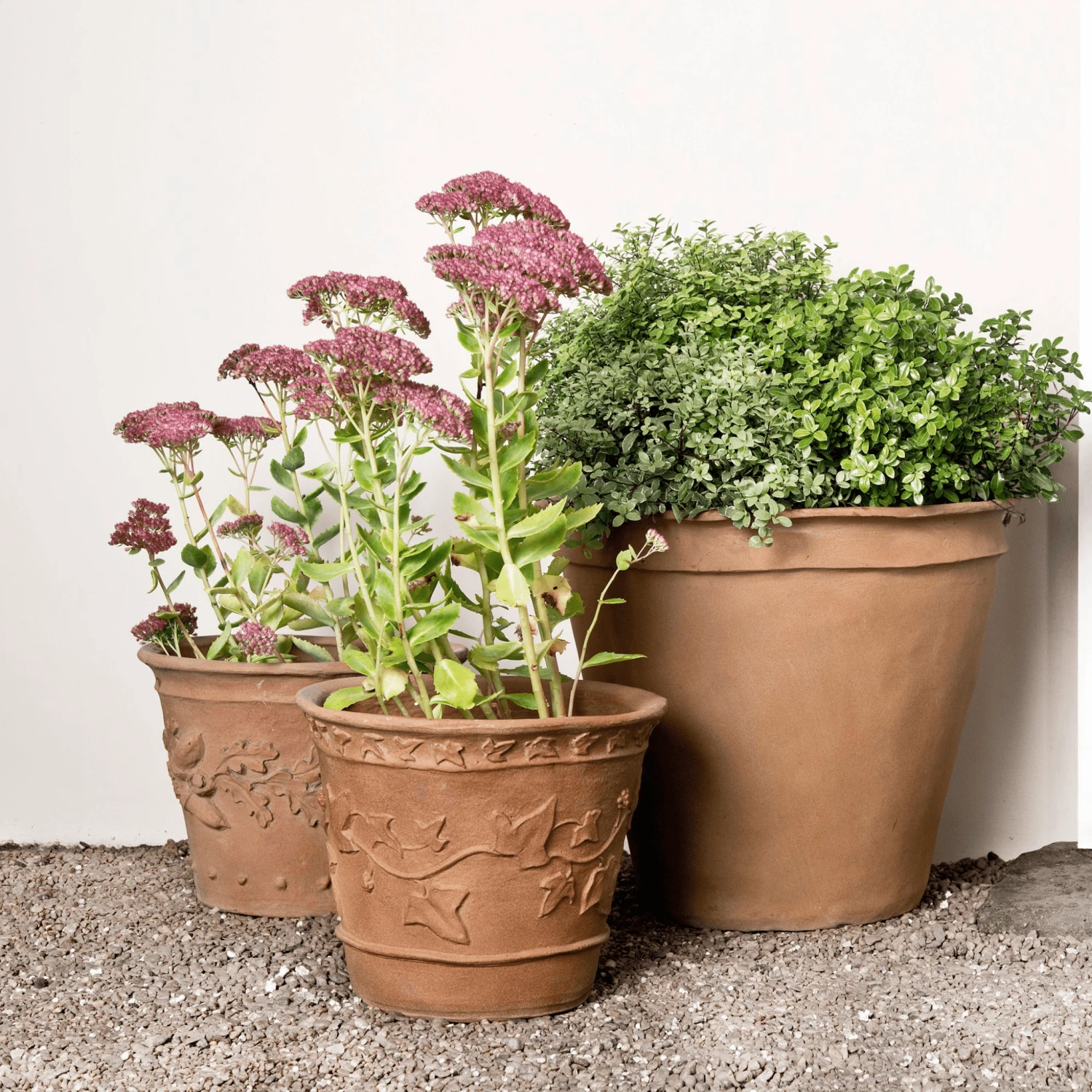 Ivy Pattern Garden Pot 2 Ivy Pattern Garden Pot - Image 2