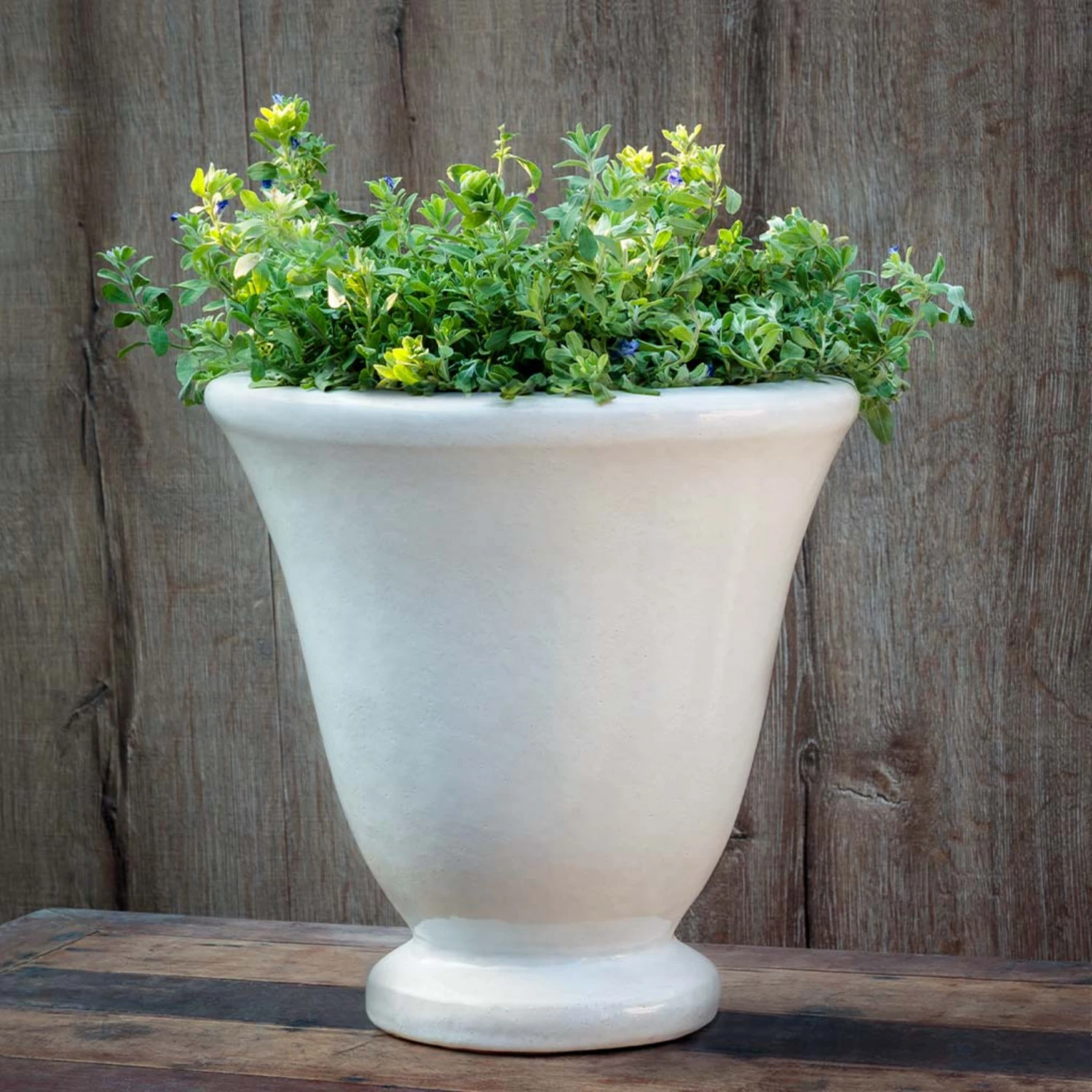 Jacqueline Urn Planter 2 Jacqueline Urn Planter - Image 2