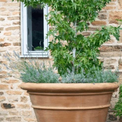 Large Classic Outdoor Garden Pot 7 Large Classic Outdoor Garden Pot -Famous Furniture Store large classic outdoor garden pot outdoor planters the well appointed house 2 b031bbb4 52a2 4ad4 b372 e9ccfe4ab1f7