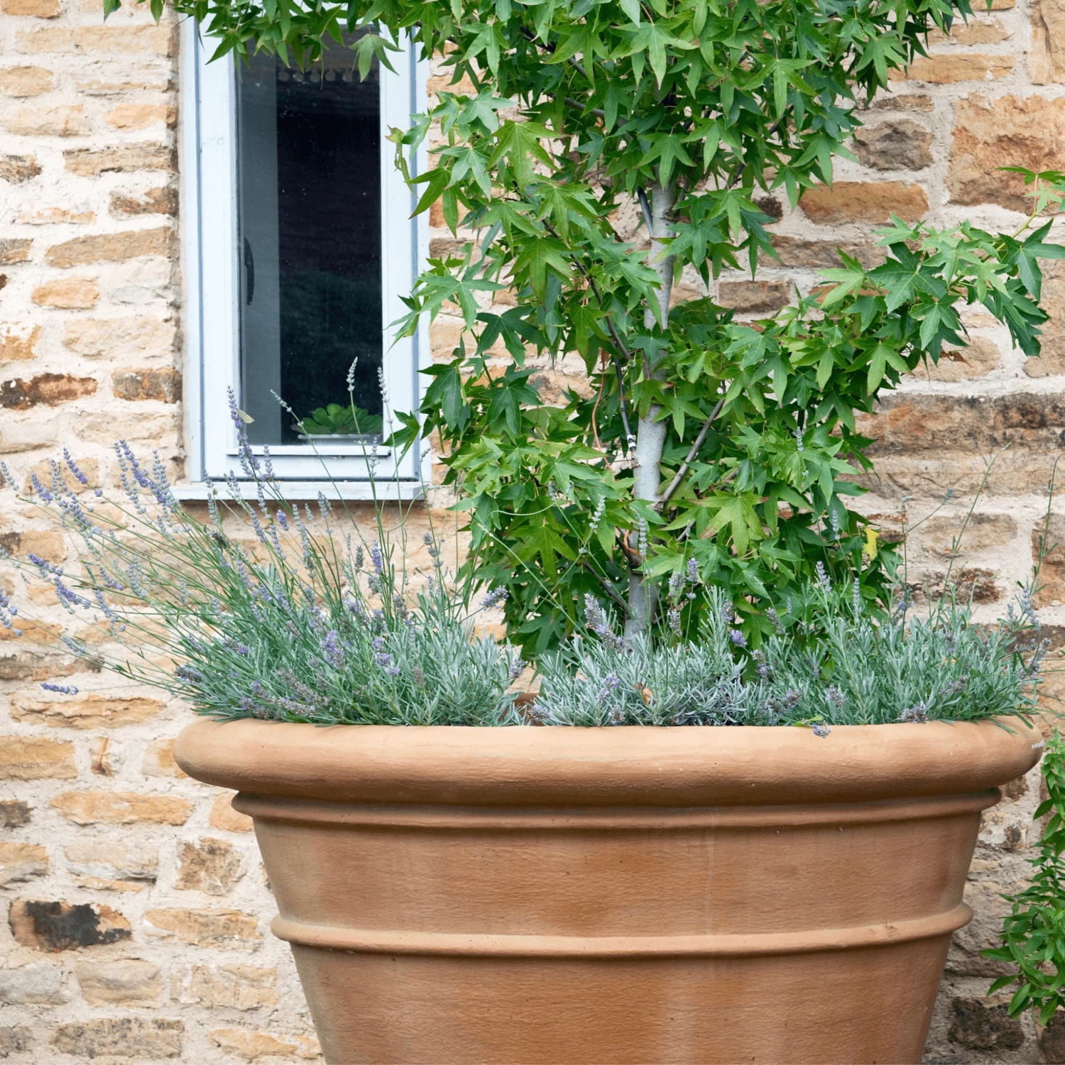 Large Classic Outdoor Garden Pot 2 Large Classic Outdoor Garden Pot - Image 2