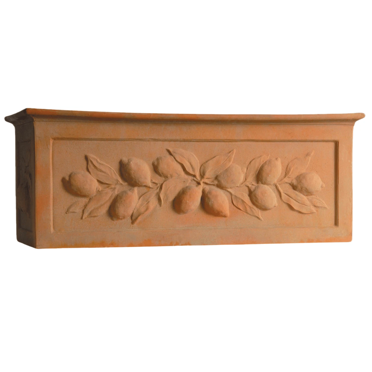 Lemons Citrus Trough Outdoor Garden Planter 1 Lemons Citrus Trough Outdoor Garden Planter