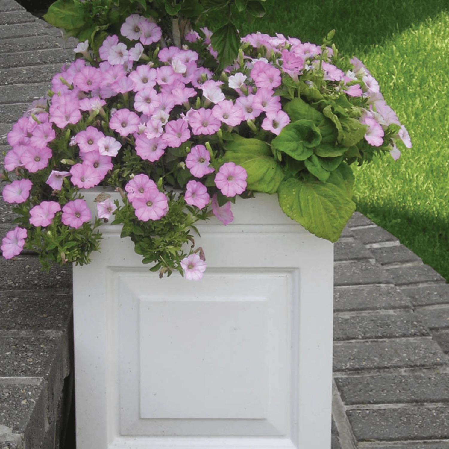 London Outdoor Garden Planter In White 4 London Outdoor Garden Planter In White - Image 4