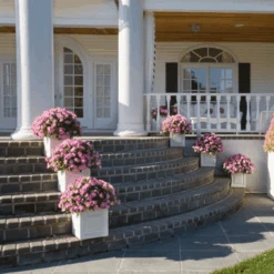 London Outdoor Garden Planter In White 10 London Outdoor Garden Planter In White -Famous Furniture Store london outdoor garden planter in white outdoor planters the well appointed house 5