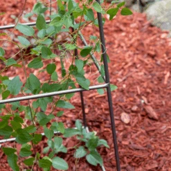 Minar Garden Pylon I 13 Minar Garden Pylon I -Famous Furniture Store minar pylon 8