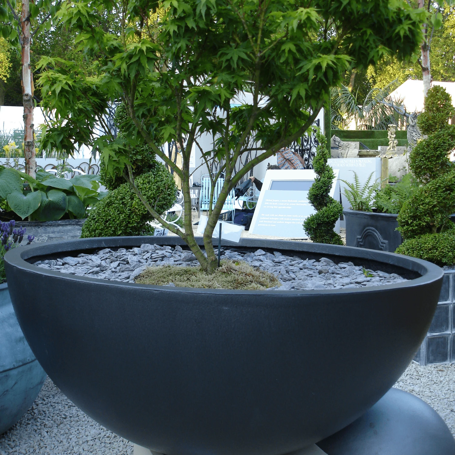 Modern Bowl Garden Planter 3 Modern Bowl Garden Planter - Image 3
