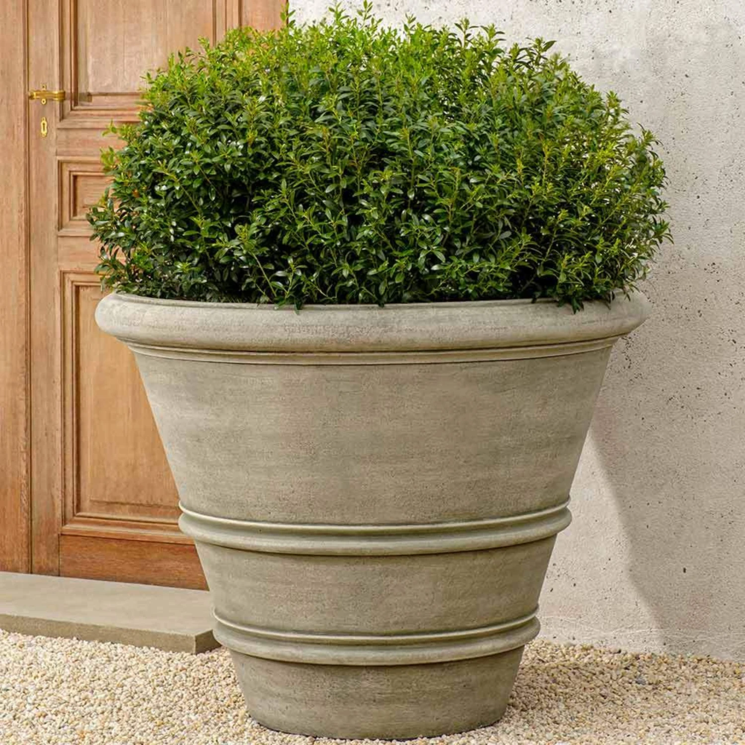 Large Classic Rolled Rim Planter 2 Large Classic Rolled Rim Planter - Image 2