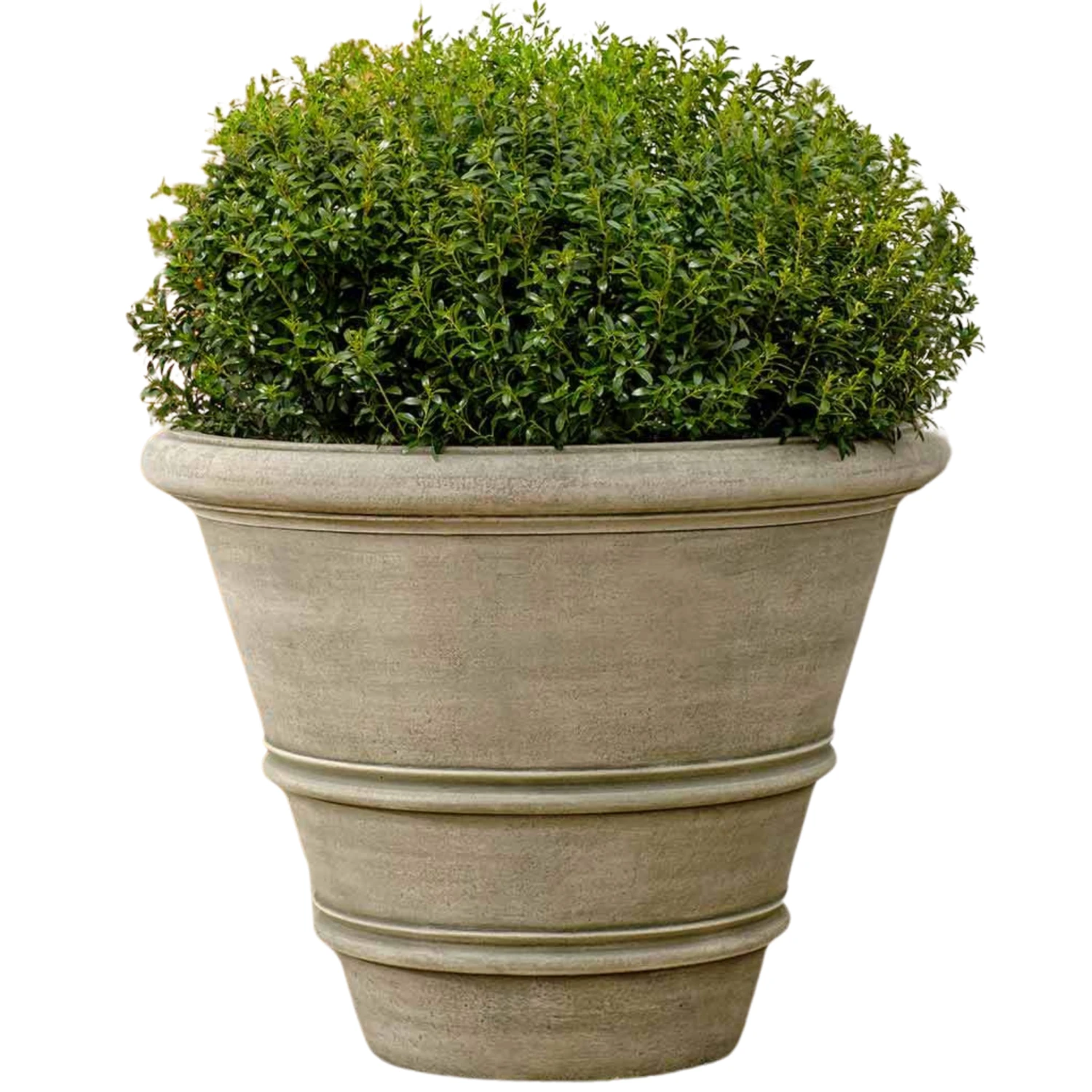 Large Classic Rolled Rim Planter 1 Large Classic Rolled Rim Planter