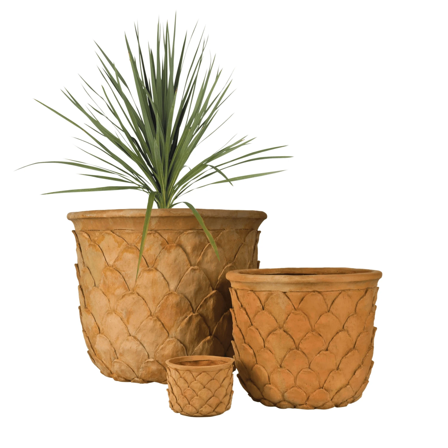 Pineapple Garden Planter 1 Pineapple Garden Planter