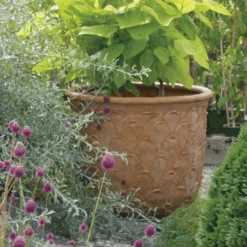 Pineapple Garden Planter 6 Pineapple Garden Planter -Famous Furniture Store pineapple garden planter outdoor planters the well appointed house 3 e767d979 d96d 49b6 85a1 d2ec09674830