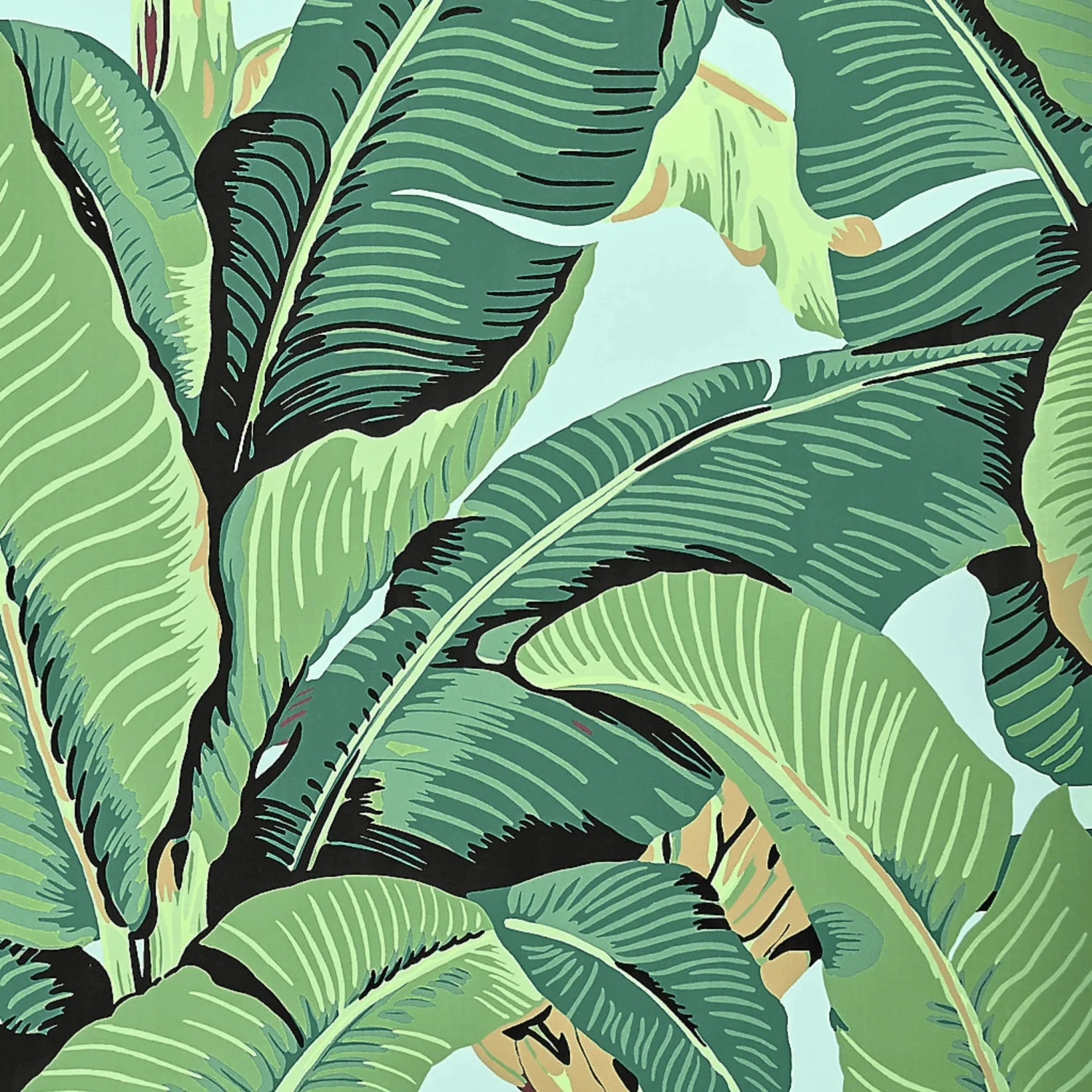 Hinson Sky Palm Wallpaper In Wide Width 1 Hinson Sky Palm Wallpaper In Wide Width