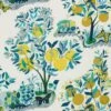 Schumacher Citrus Garden Indoor-Outdoor Fabric In Pool