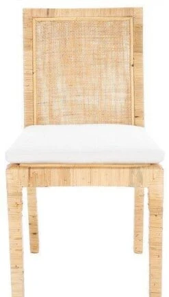 Safavieh Set Of Two Cane Dining Chairs With Cushions