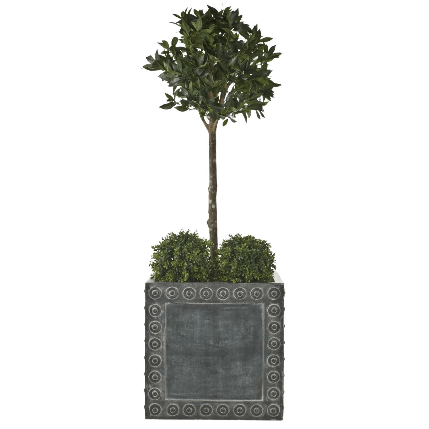 Thomas Garden Planter 6 Thomas Garden Planter - Image 6