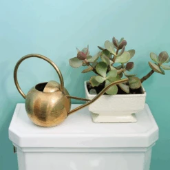 Solid Brass Globe Watering Can 7 Solid Brass Globe Watering Can -Famous Furniture Store wc 01 5