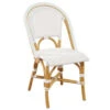 White Woven Resin Finish Dining Chair