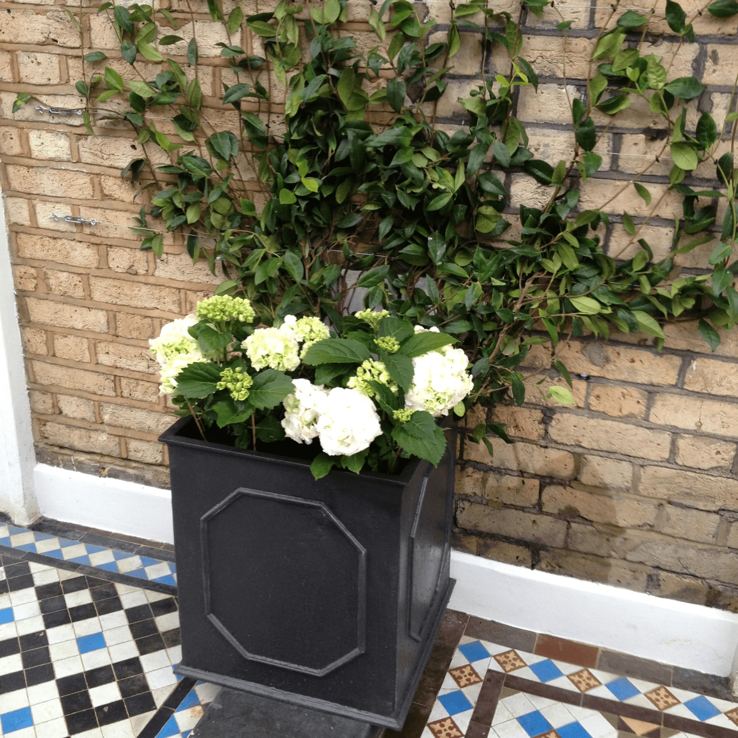 William Traditional Garden Planter 10 William Traditional Garden Planter - Image 10