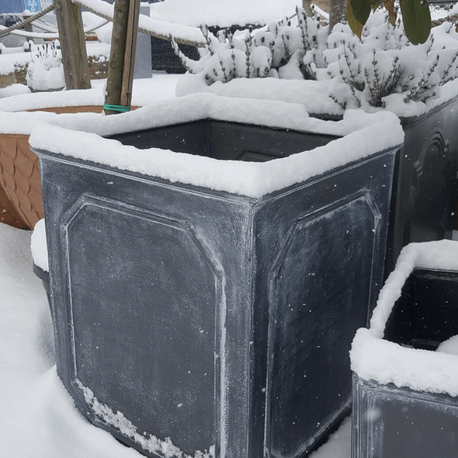 William Traditional Garden Planter 11 William Traditional Garden Planter - Image 11