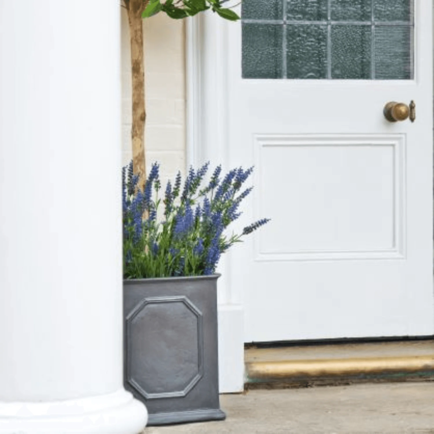 William Traditional Garden Planter 7 William Traditional Garden Planter - Image 7